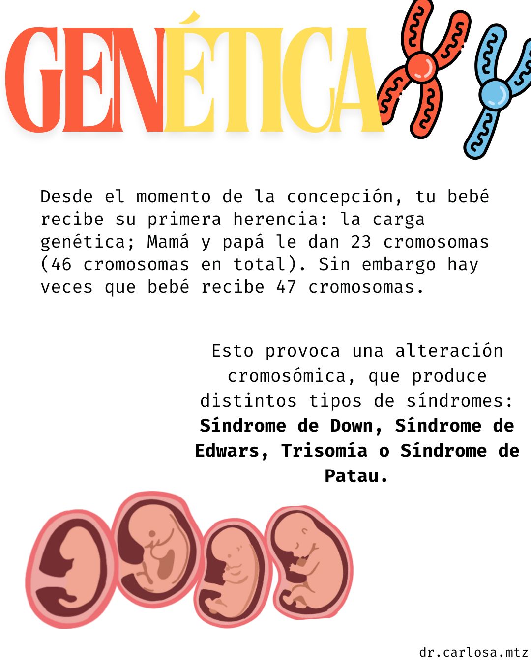 Carlos Arturo Martínez Méndez-12