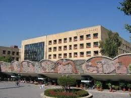 Said Emmanuel Pérez Zubeldía-6