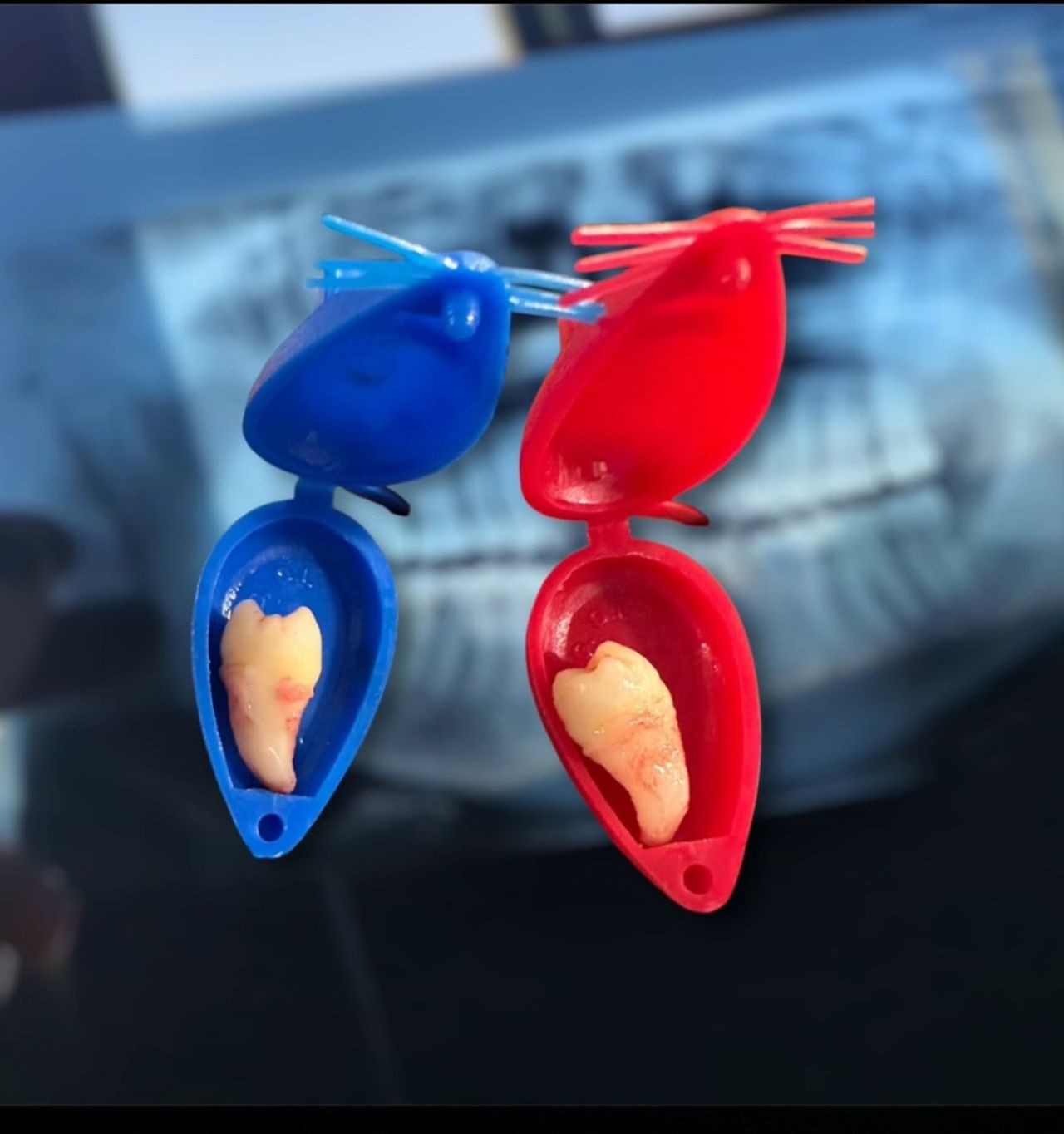 Leonardo Hernández Fernández-5