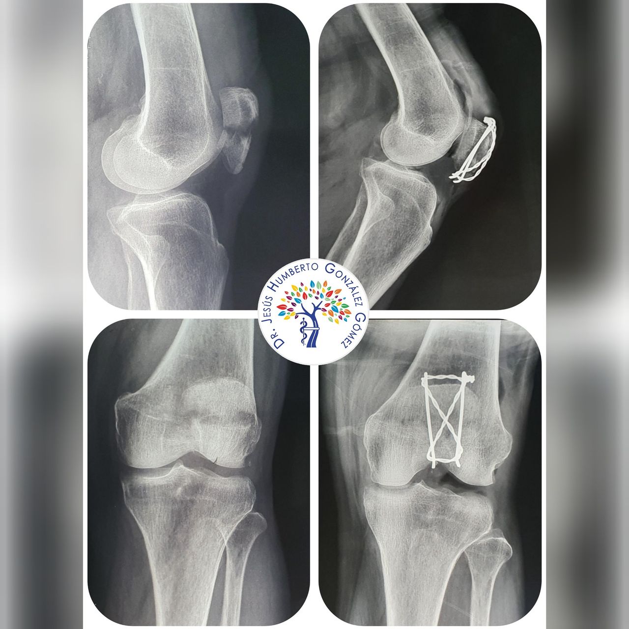 Jesús Humberto González Gómez-21