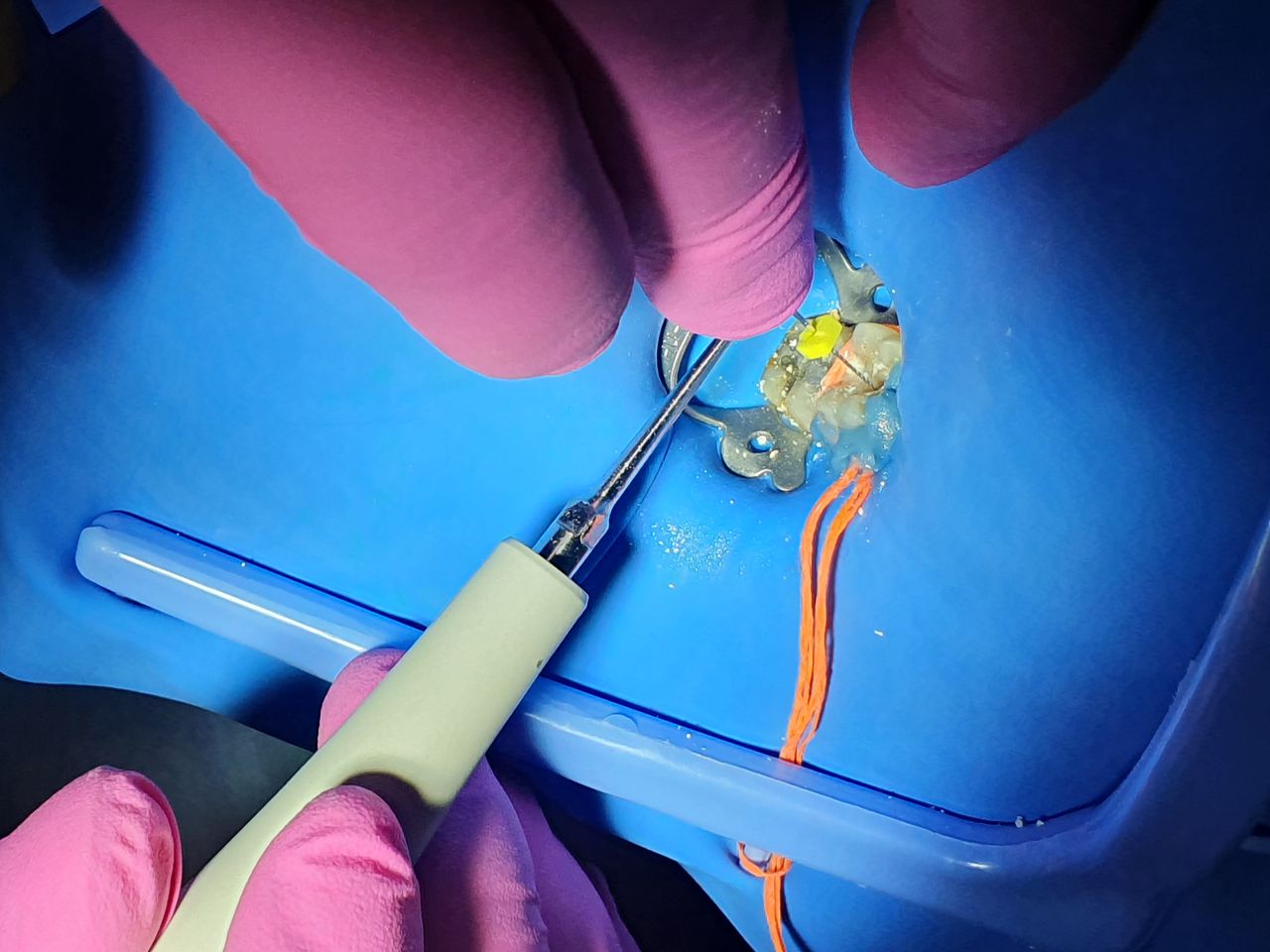 Fabiola Arcos Huesca-44