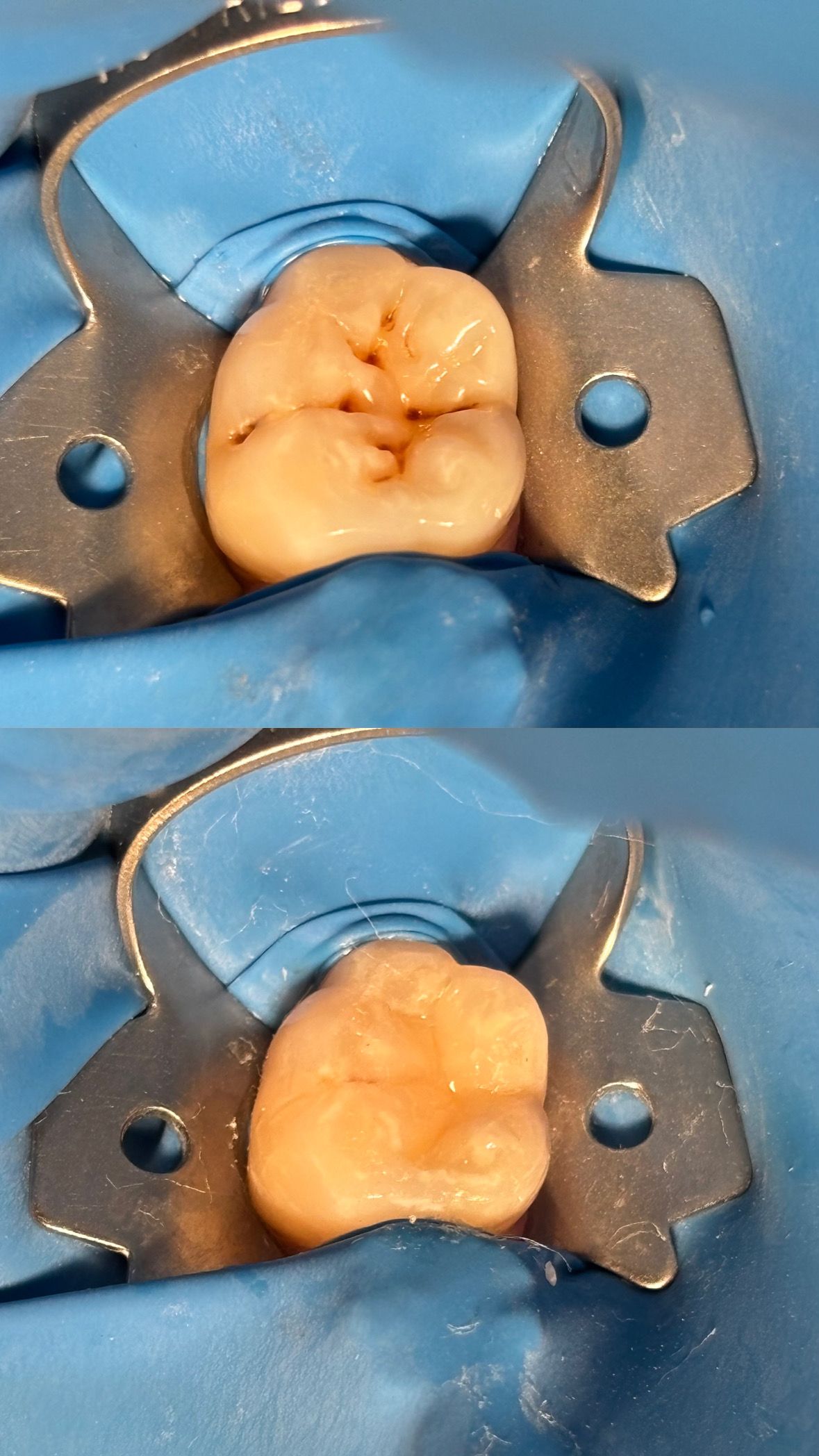 María Paula  Flores Novoa-11