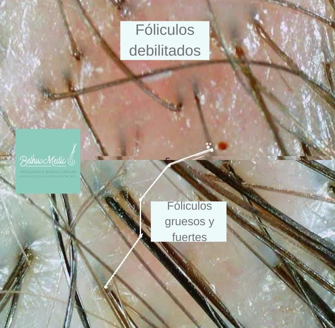 Alejandra Soriano Elorza-22