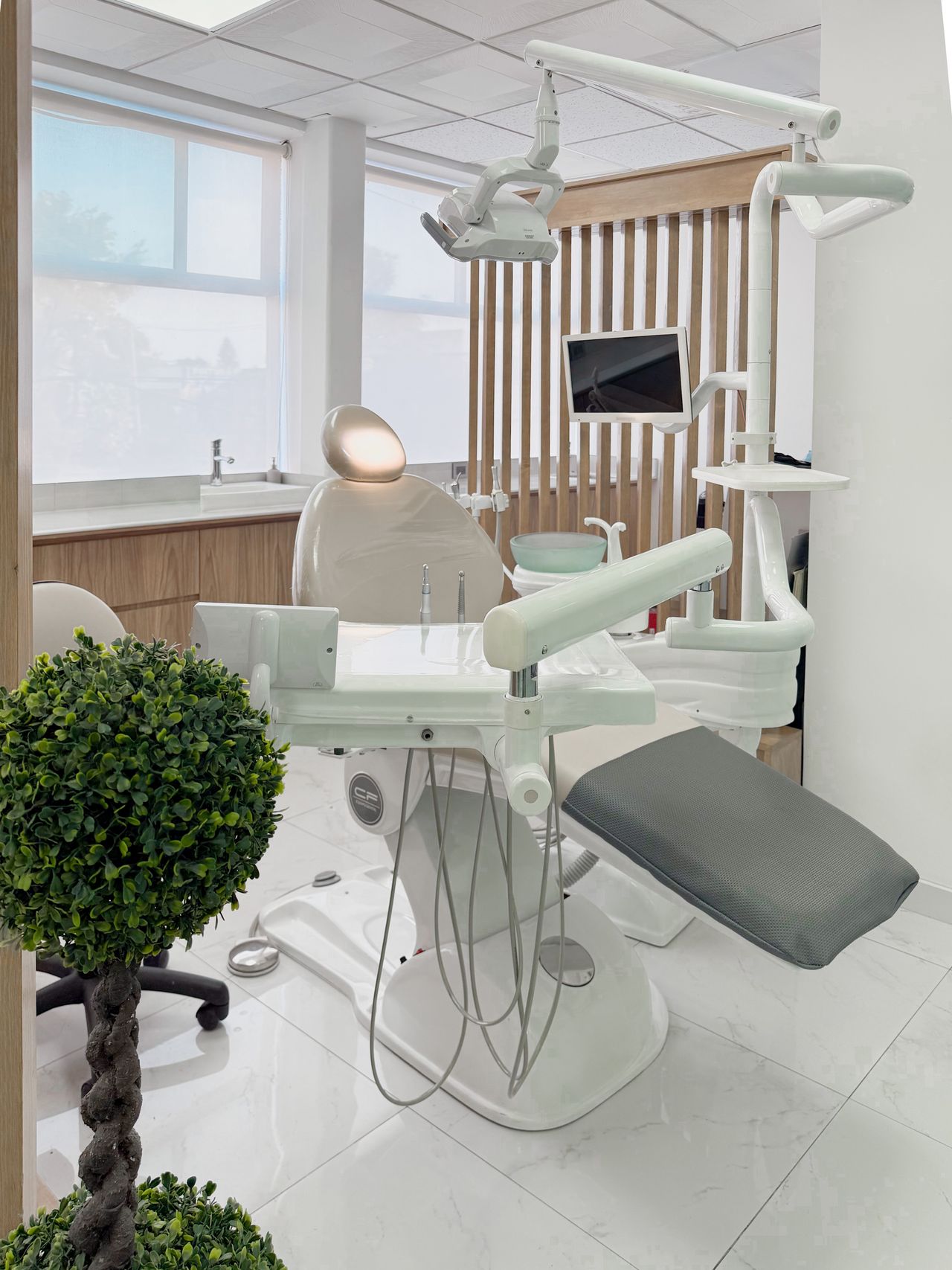 Brenda Carmona Molina-3