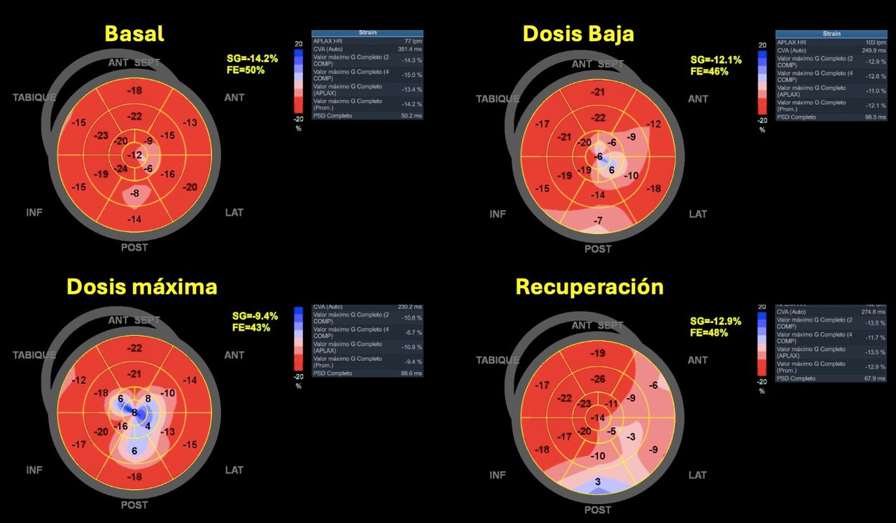 Luis Augusto Baeza Herrera-0