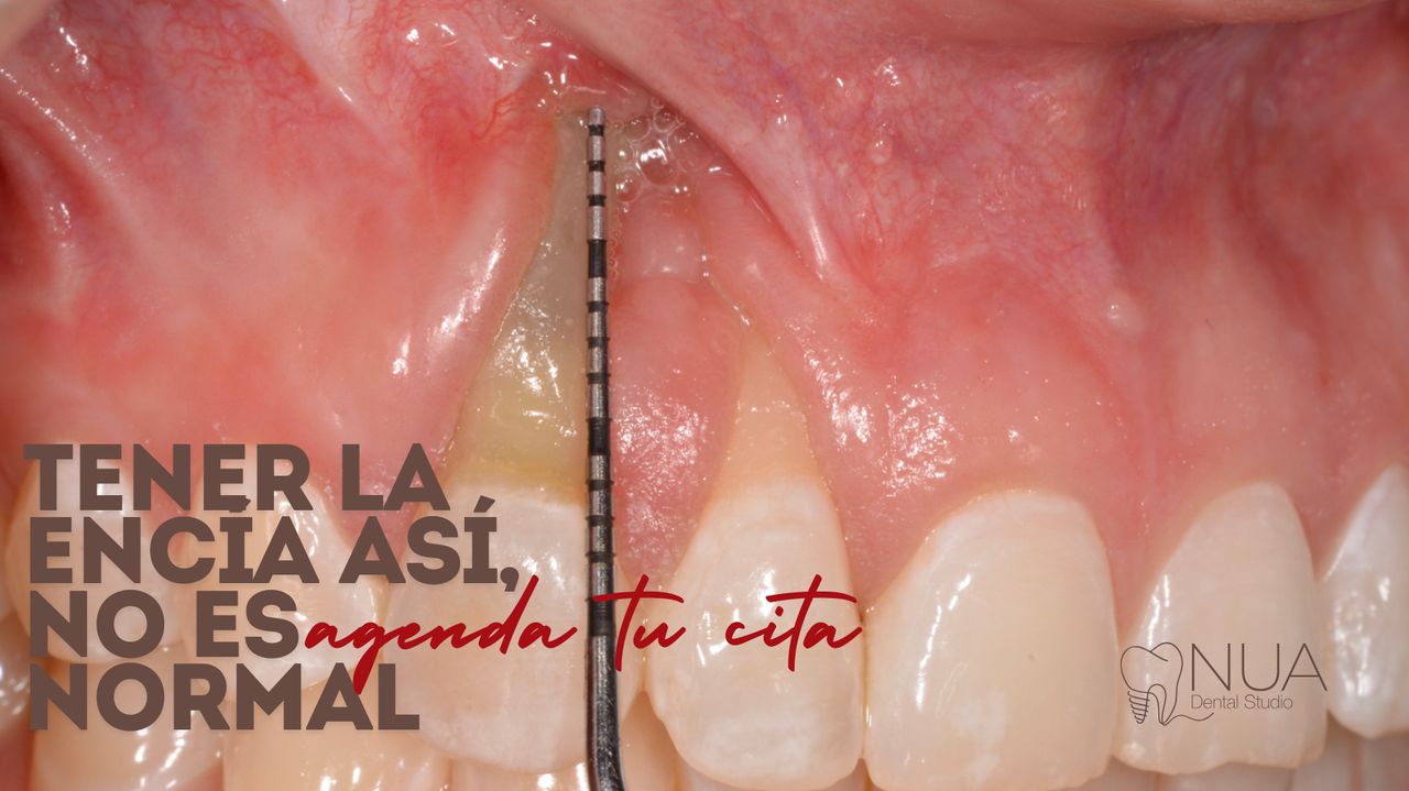 Monica Gabriela Magaña Pérez-15