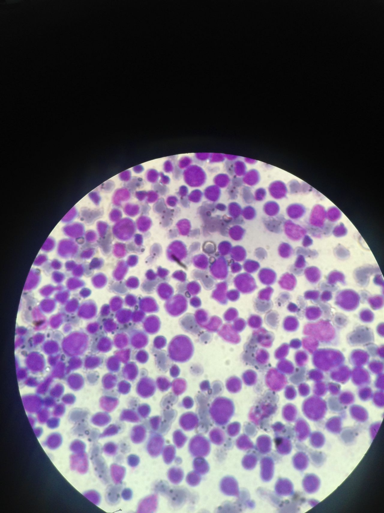 Abril Balam Canul-15