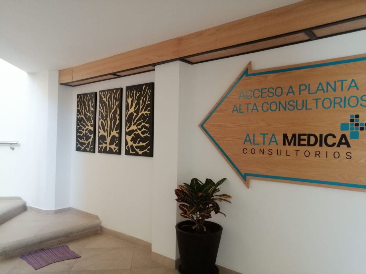 Elda Karen Martínez Leon-11