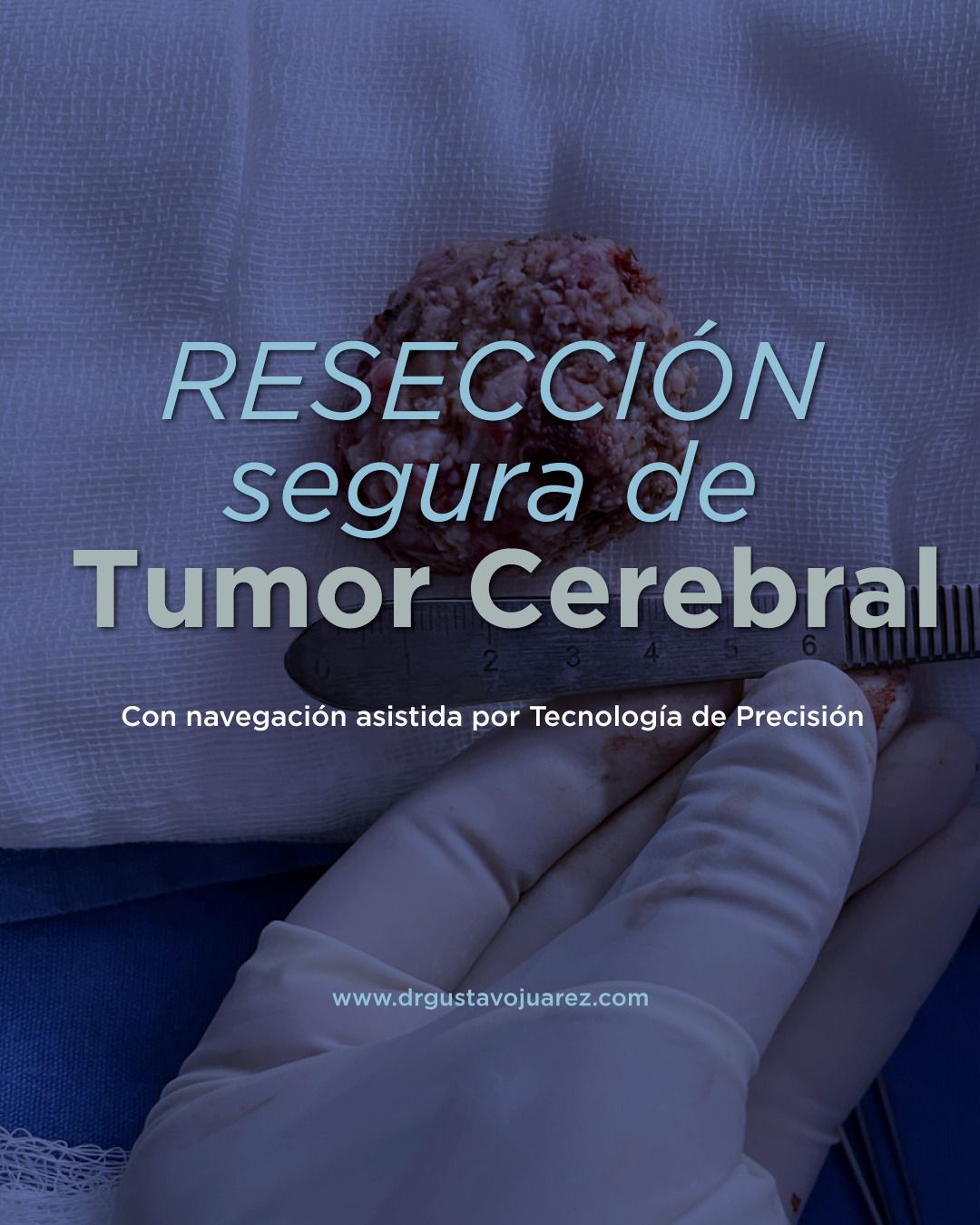 Gustavo Juarez Jimenez-6