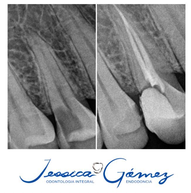 Jessica Gómez Tavizon-7