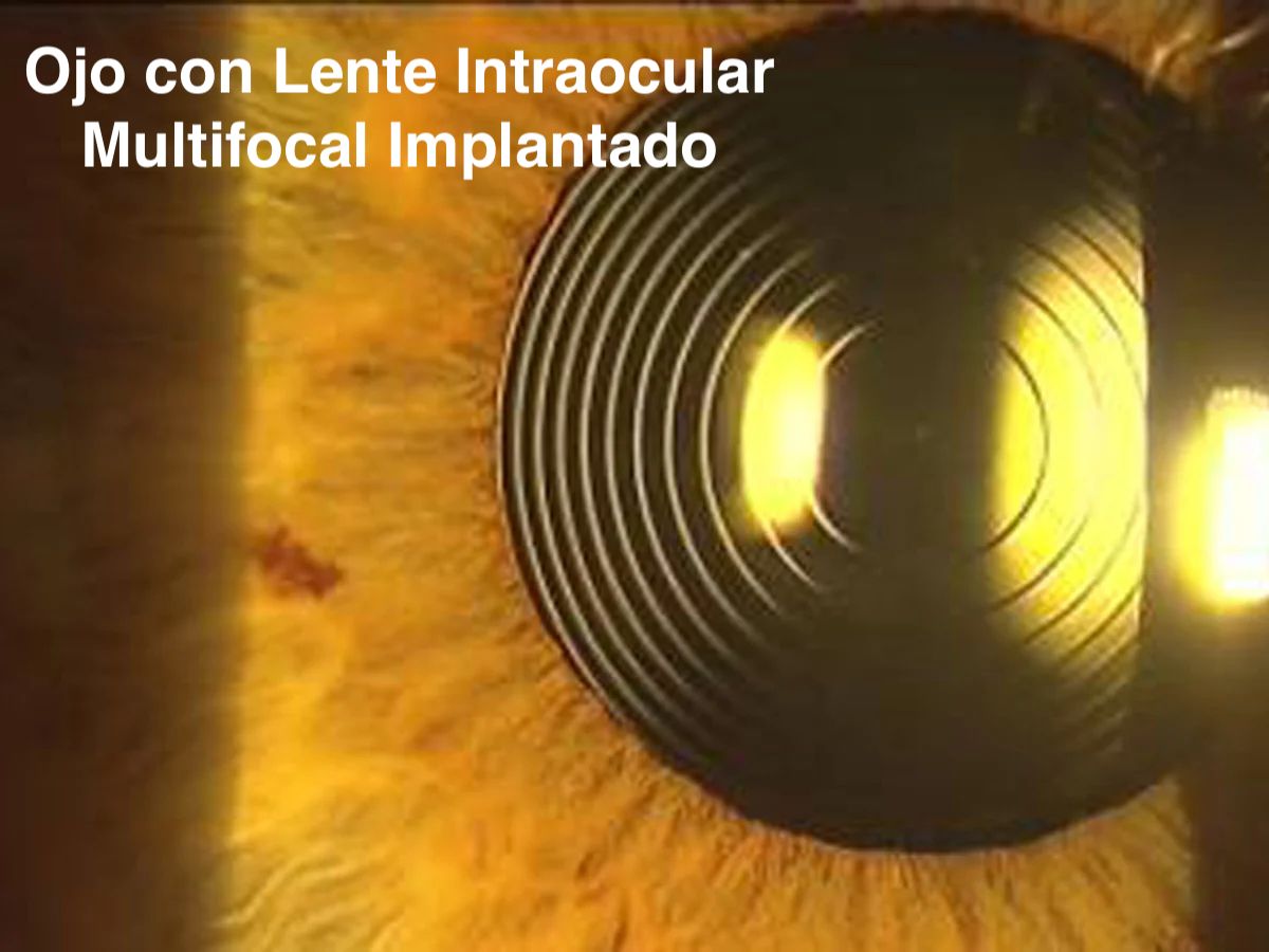 Jesus Luna Briceño-10