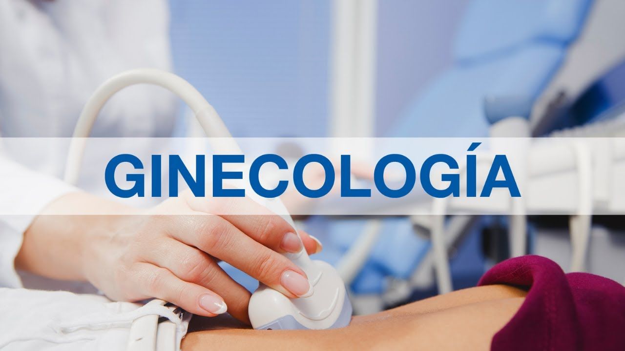 Luis Ariel Arceo Cervera-1