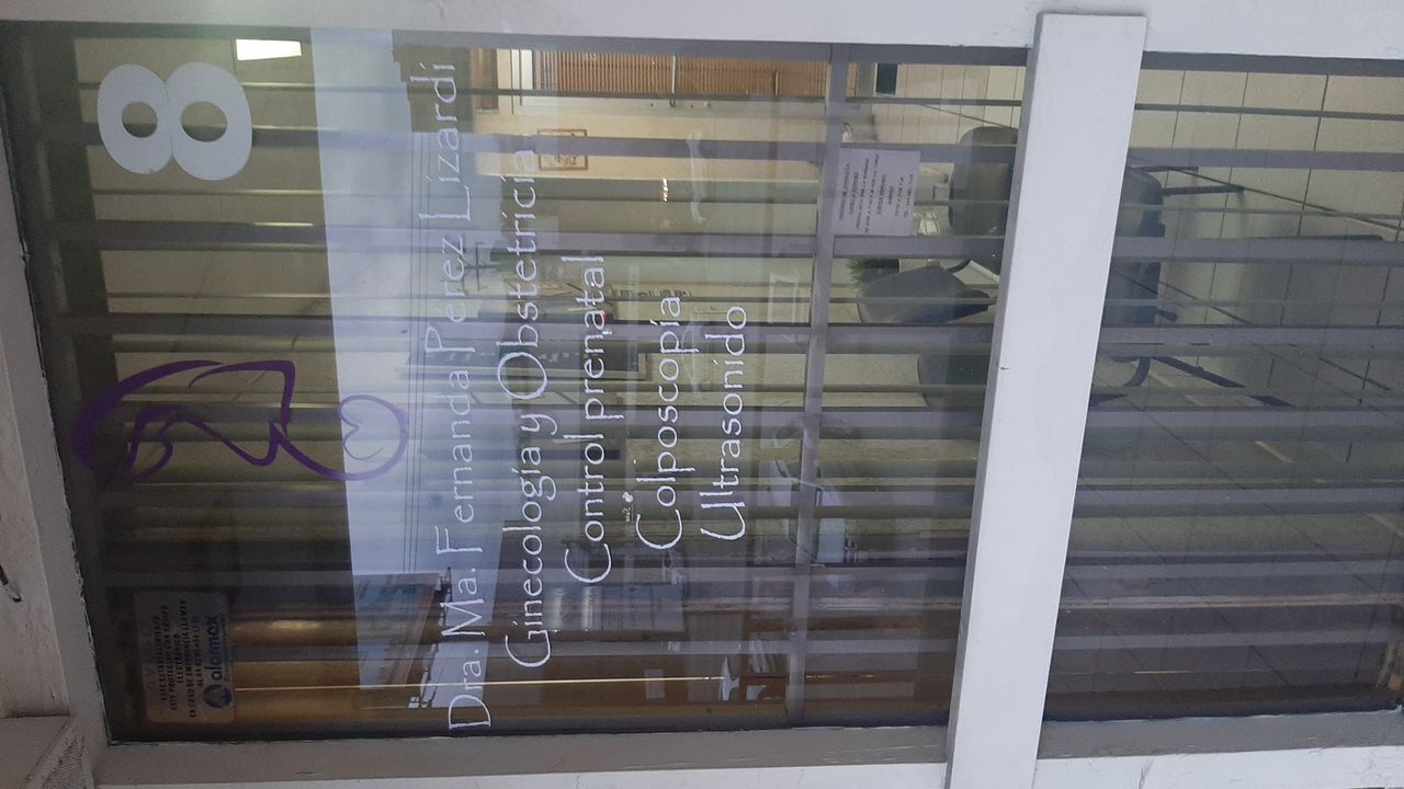 María Fernanda Pérez Lizardi-1