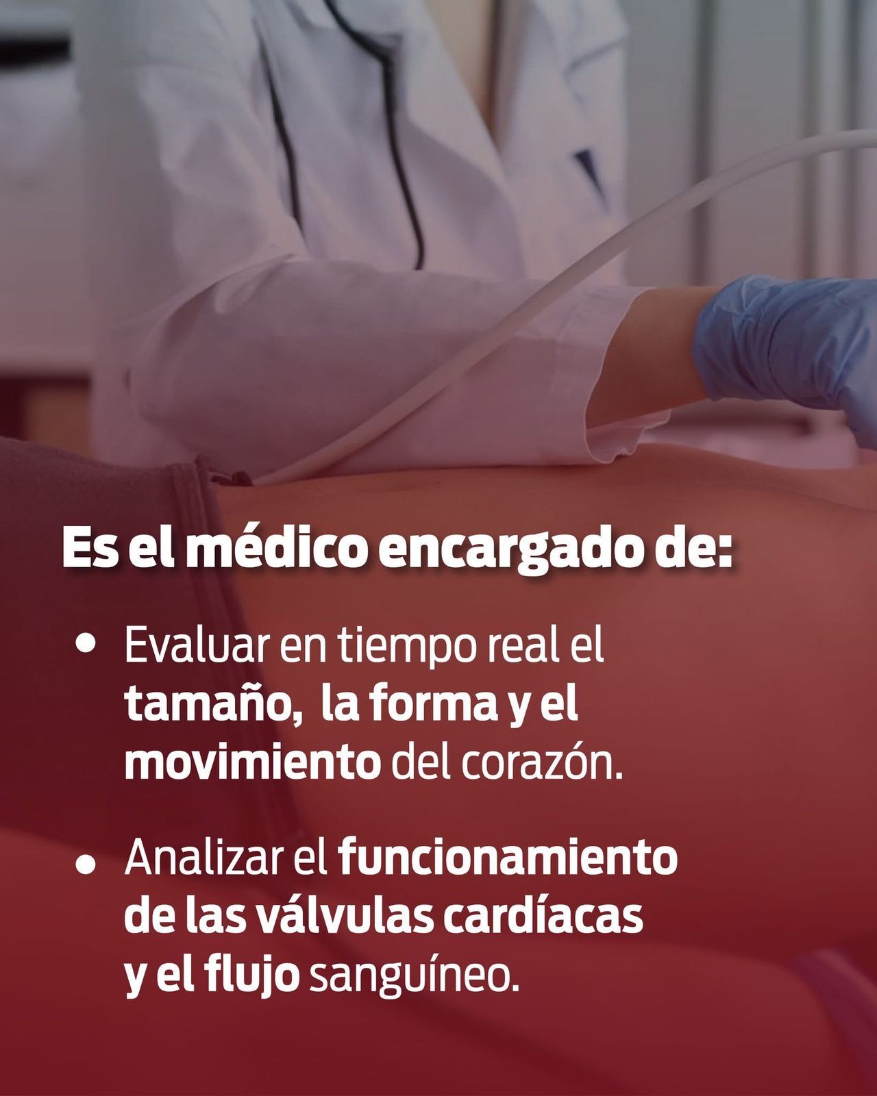 Nelva Marina Márquez Castro-8