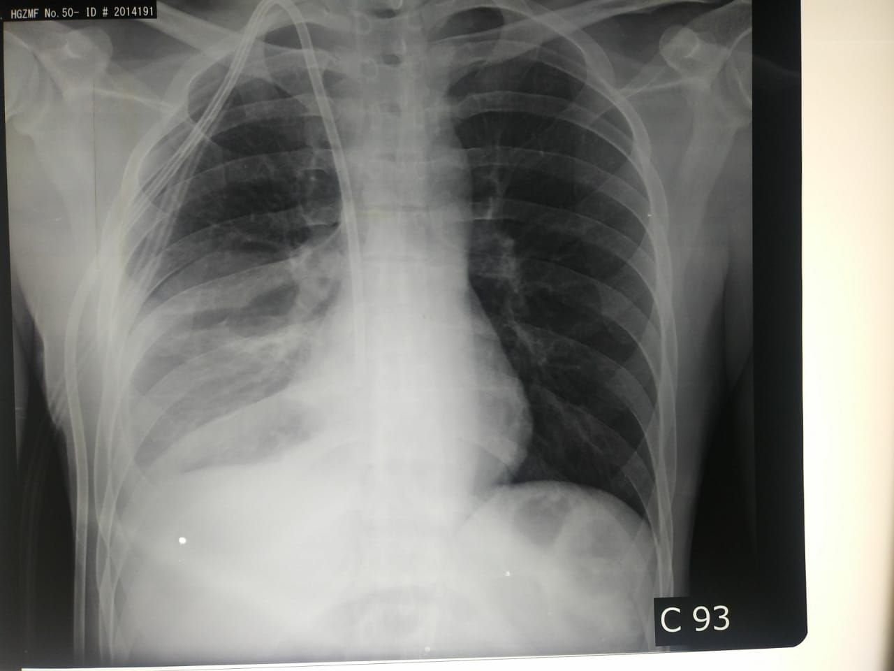 Georgina Del Rocio Guerrero Obregón-0