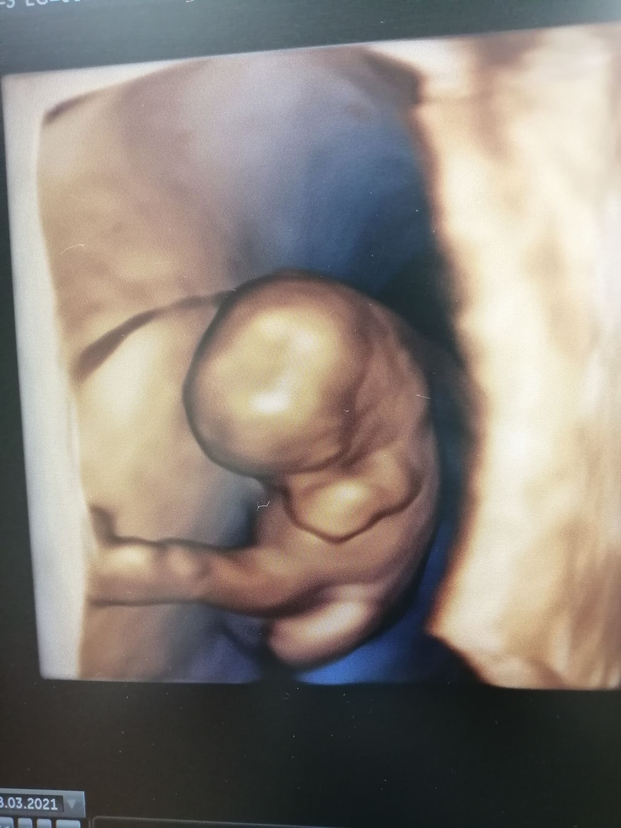 Laura Helena Carrillo Aguilar-0