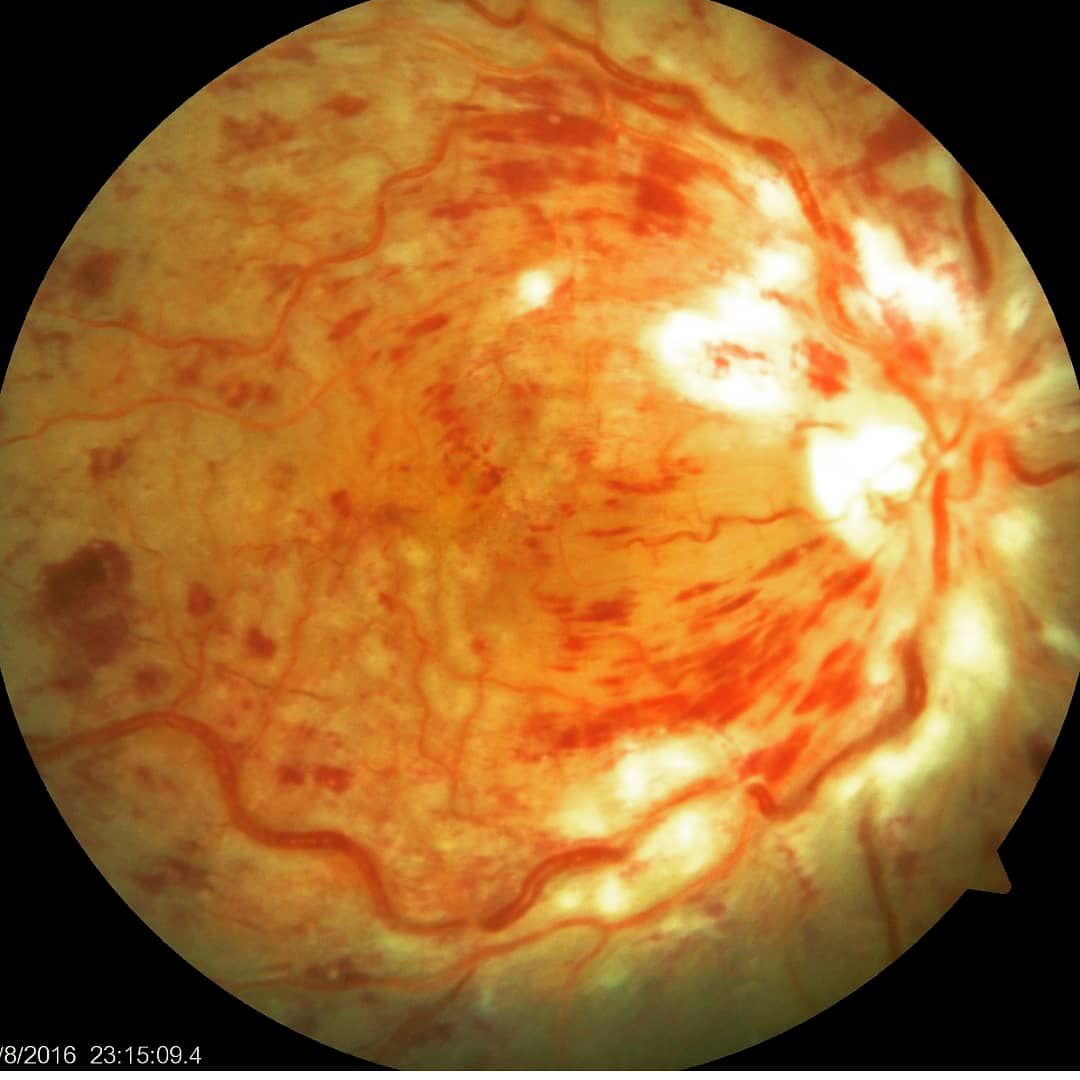 Dalia Méndez Marín-9