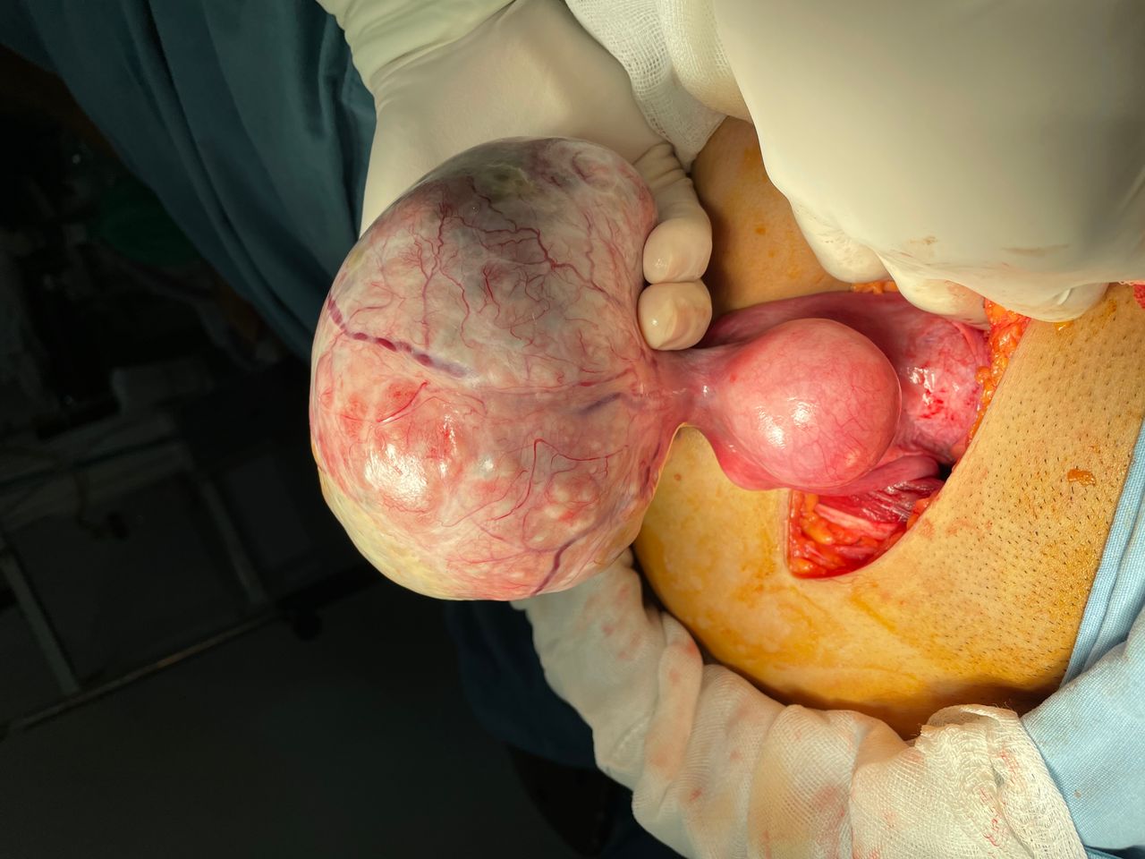 Gonzalo Hernández Martínez-31