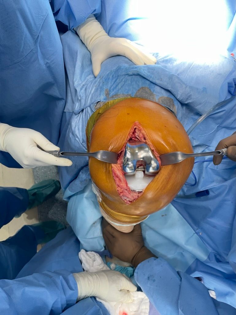 Jose De Jesus Perez Cisneros-5