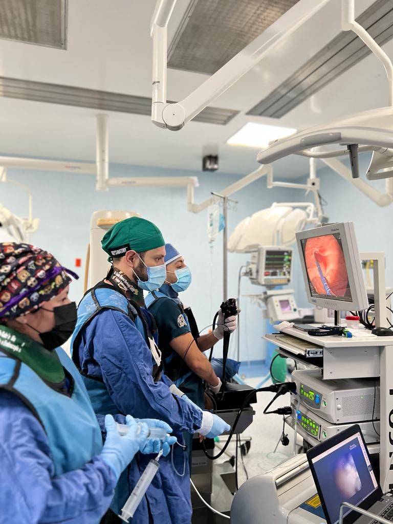 José Antonio Gutierrez Mingramm-12