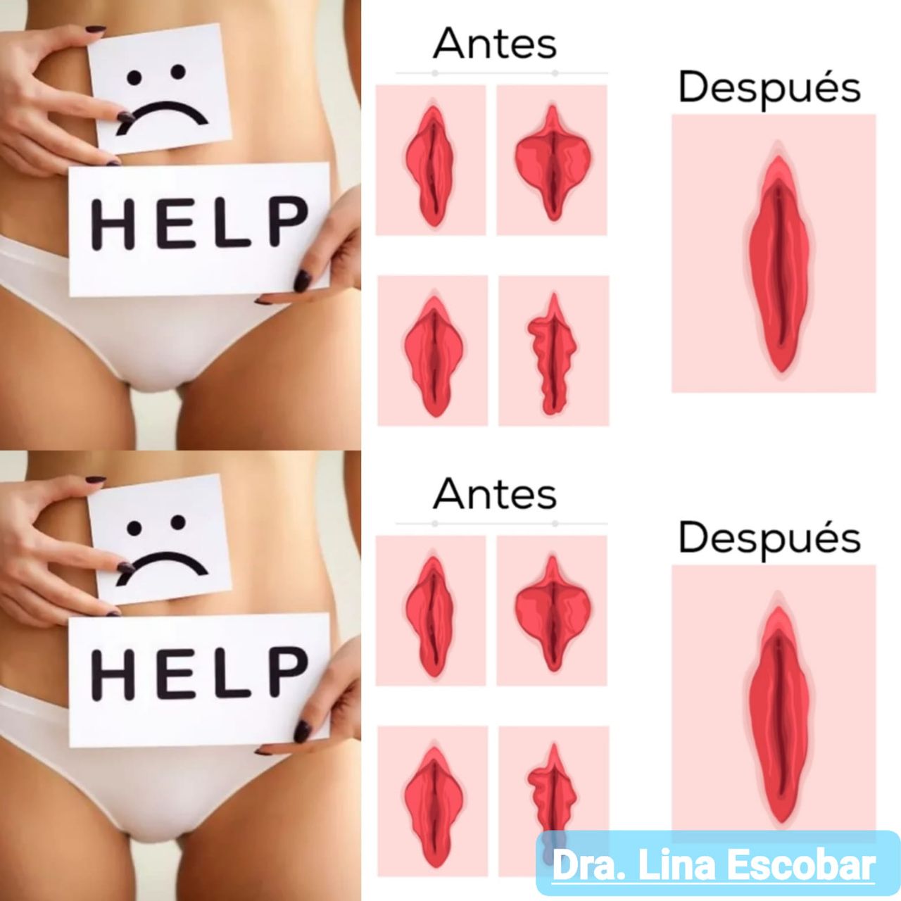 Guadalupe Muñoz Castro-37