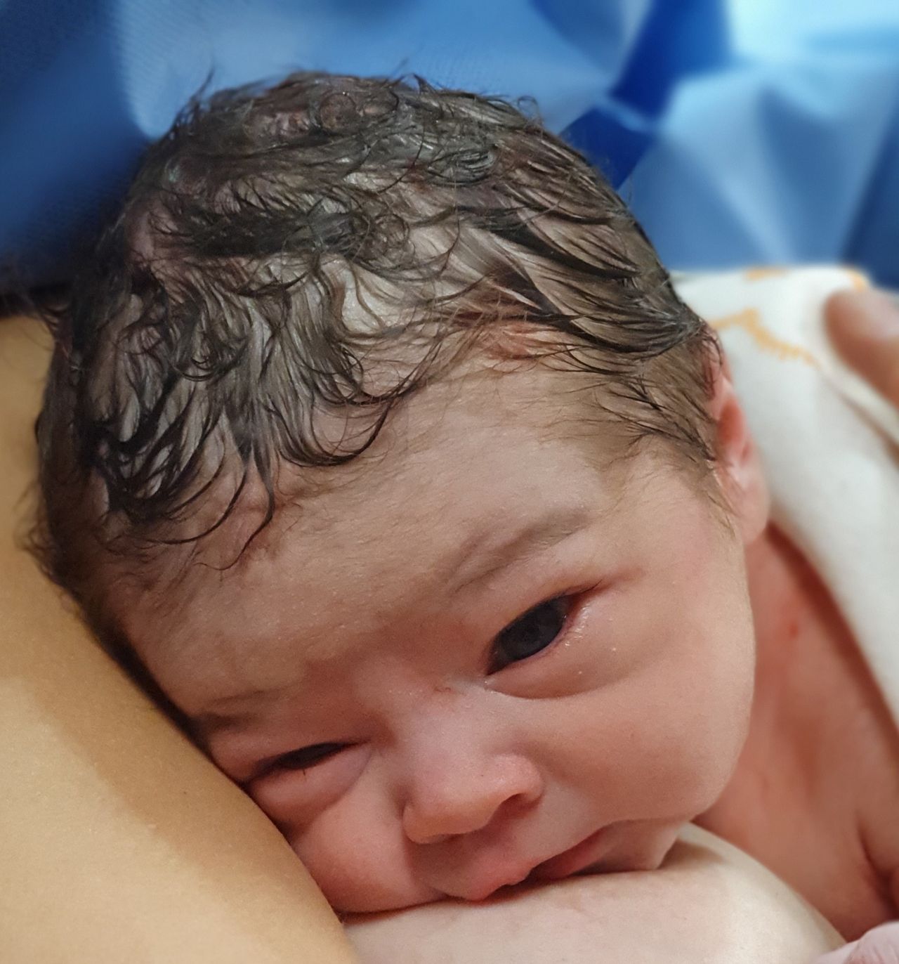 Juan Carlos Morales Torres-2