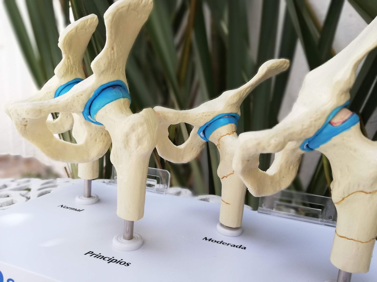 Saúl J. Ramírez Martínez-8