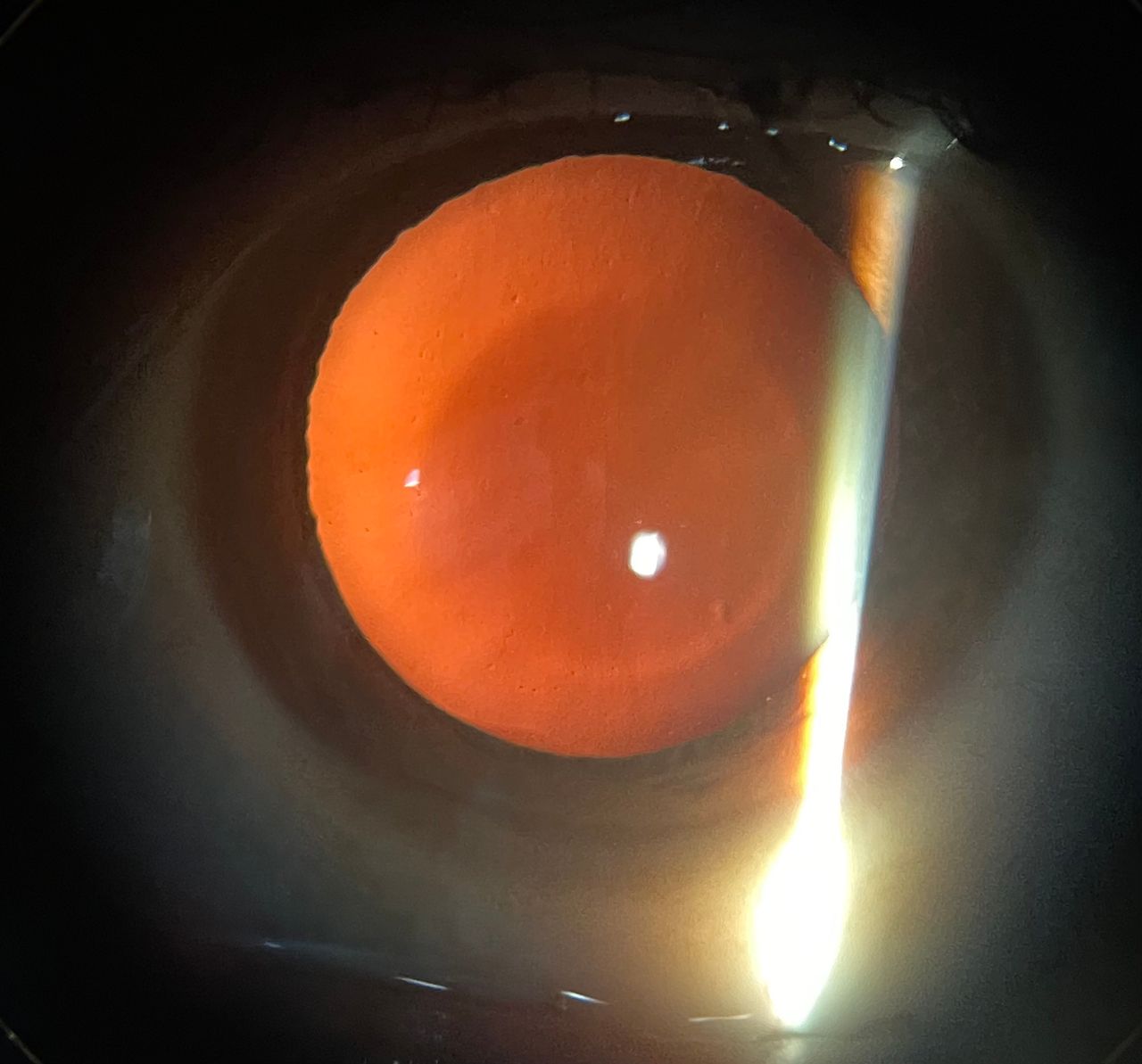 Blanca Esmeralda Hurtado Noriega-3