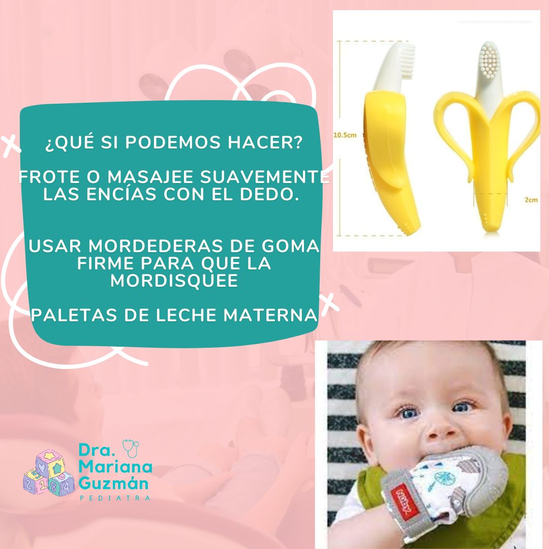 Mariana Guzmán Apáiz-3