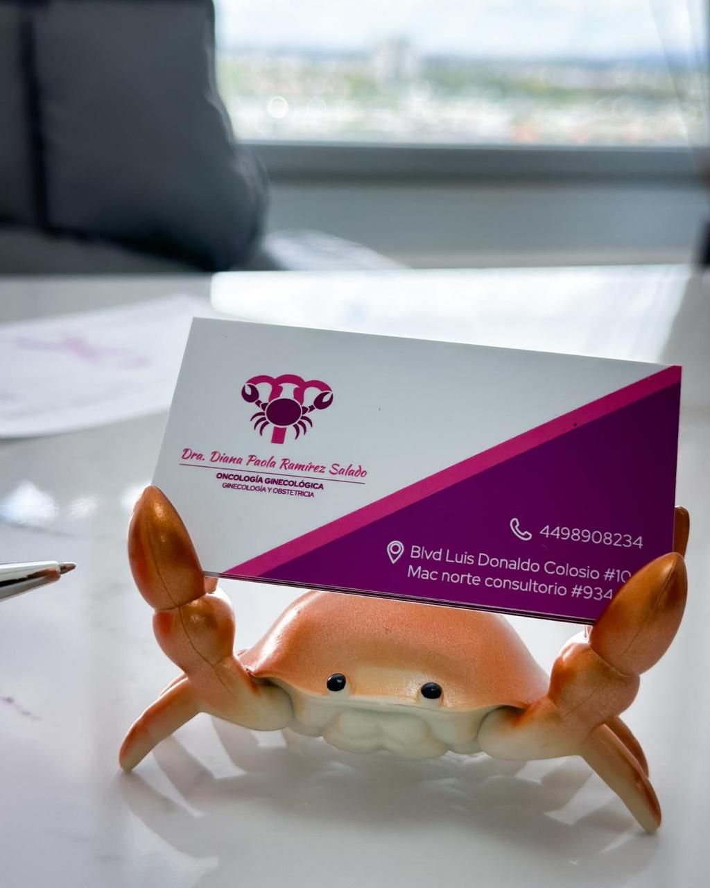 Diana Paola Ramírez Salado-9