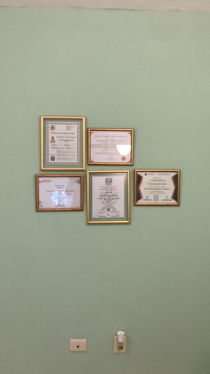 María Magally Cedillo Escudero-0