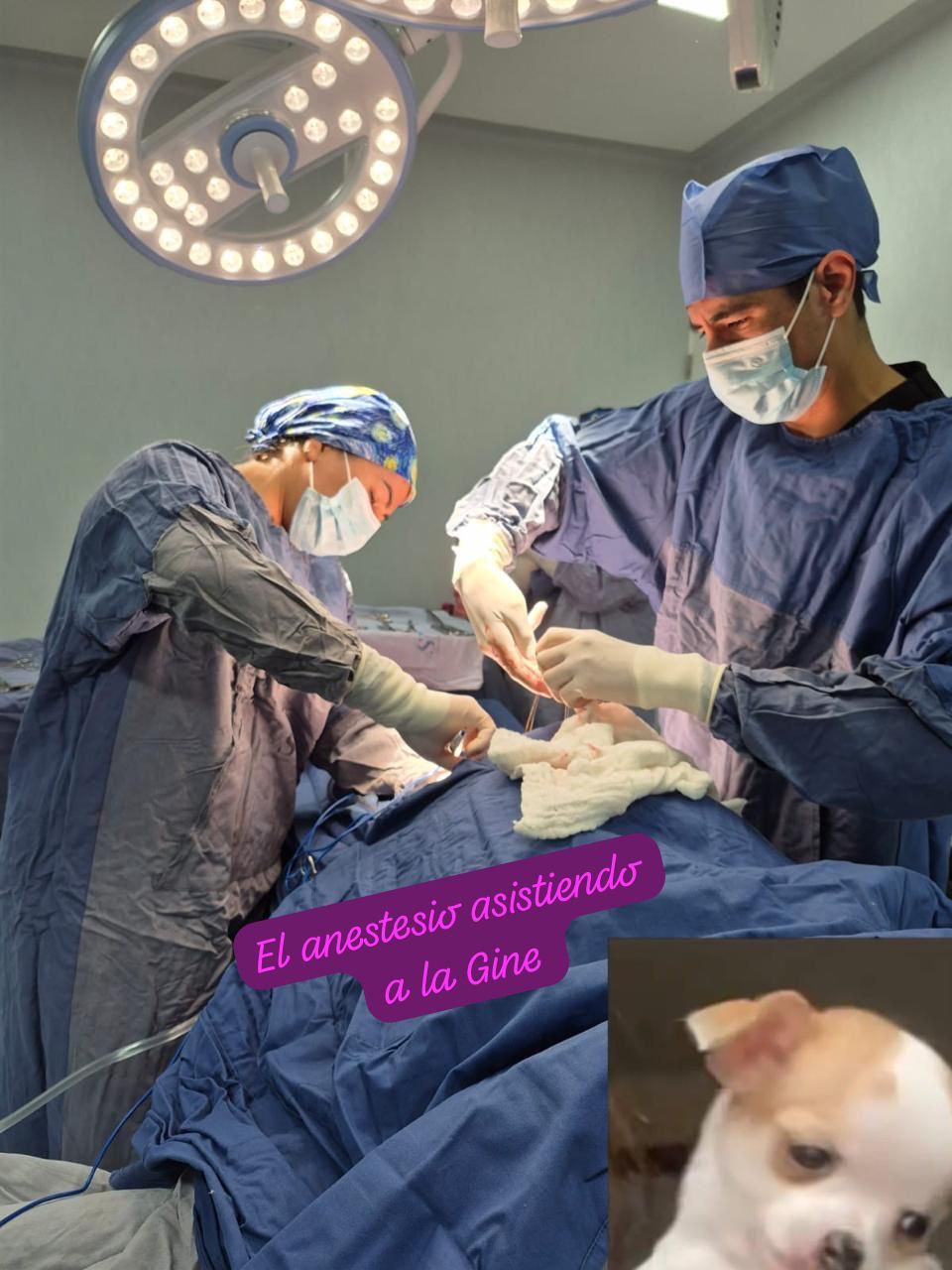 Sandra Faviola Dávila Molina-49