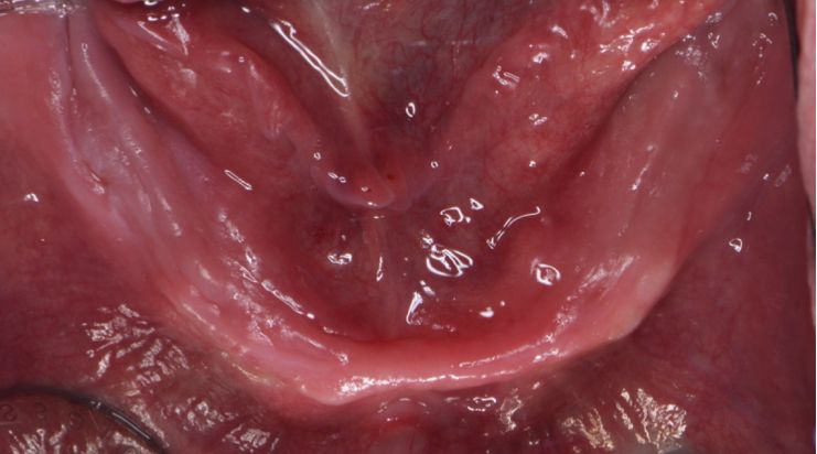 Sergio Cortes Aroche-2