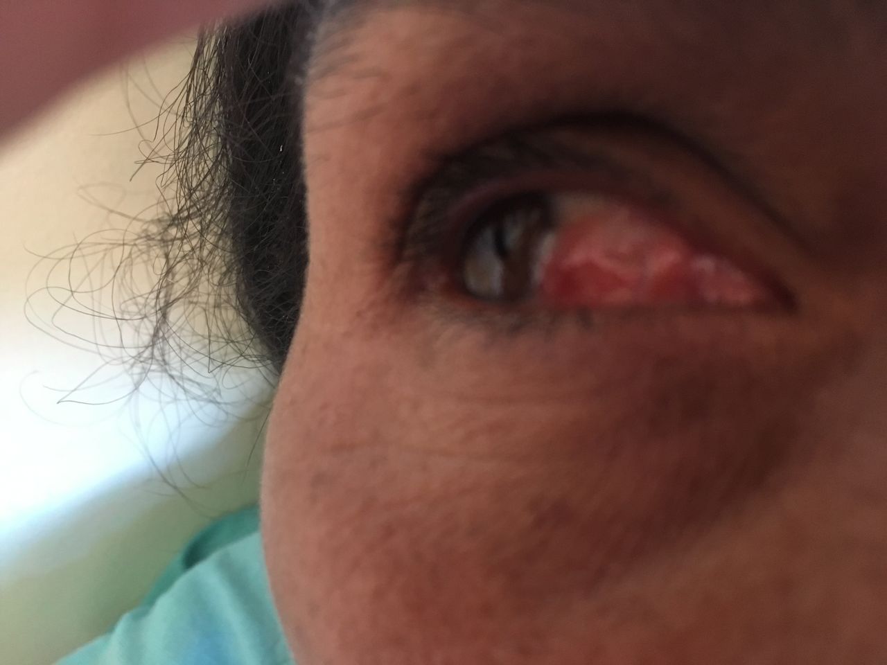 Rosa Elena De La Torre Castro-24