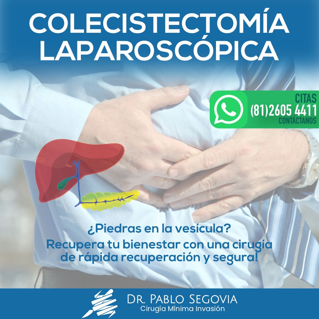 Pablo César Segovia García-5
