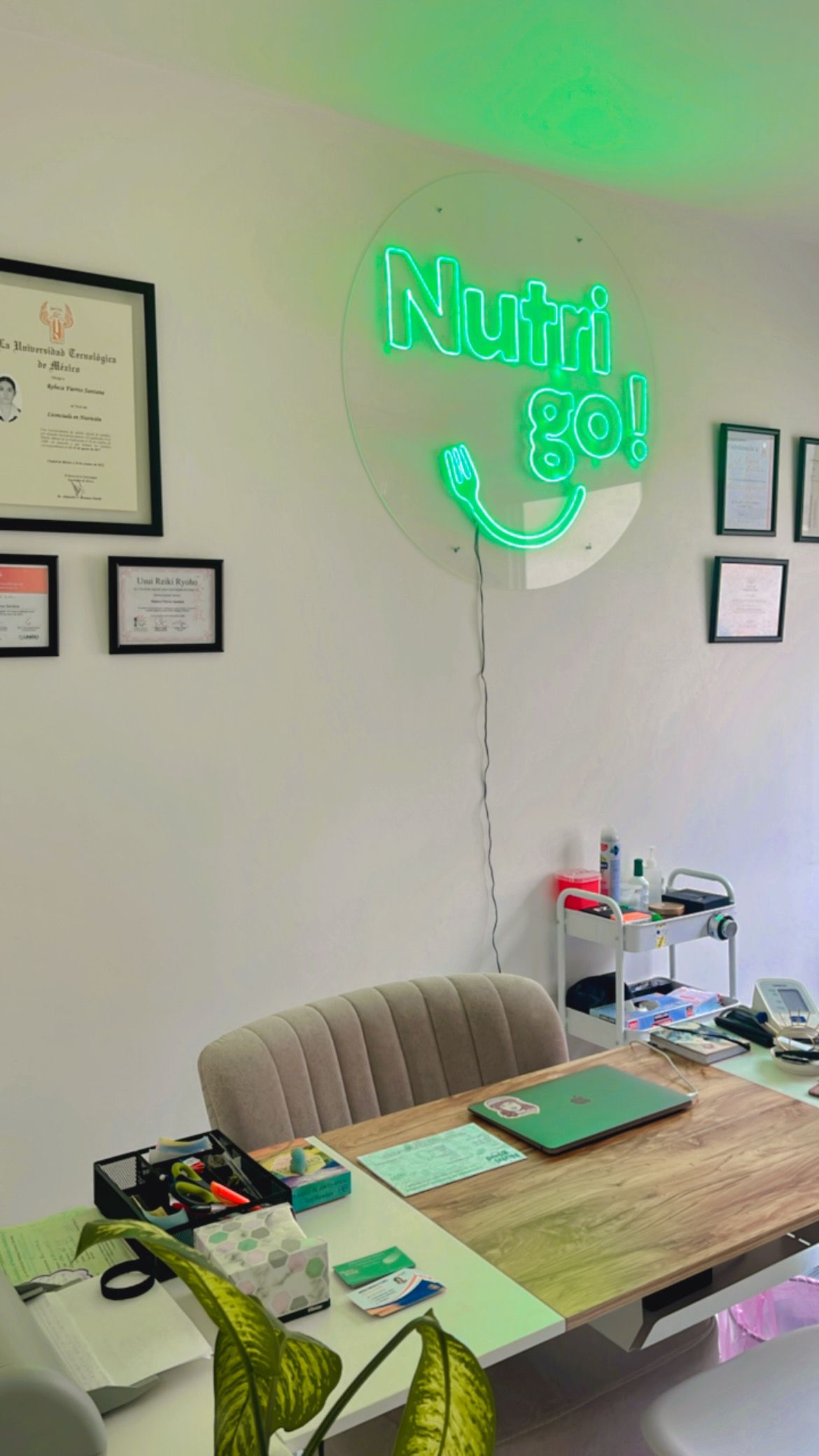 Rebeca Fierros Santana -0