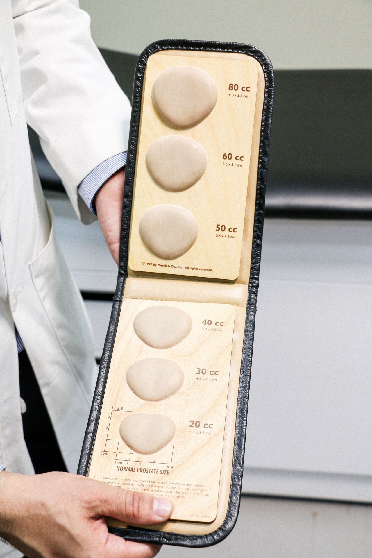 Emilio De León Castorena-4