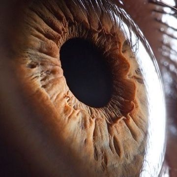 Ramiro Miguel Espinosa Estevez-15