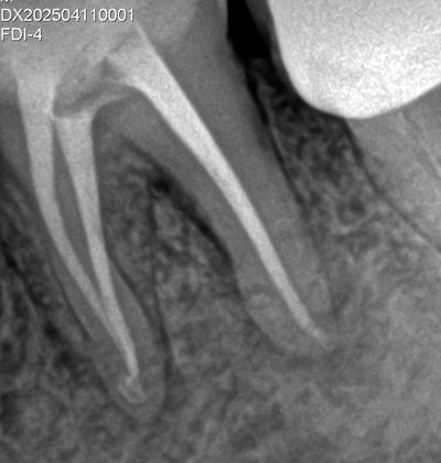 Carlos Gallegos Toledo-1