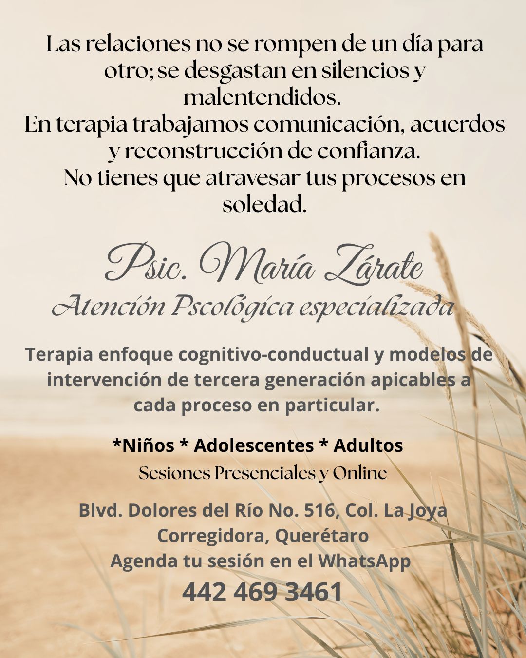 María Esther Zárate Ambriz-0