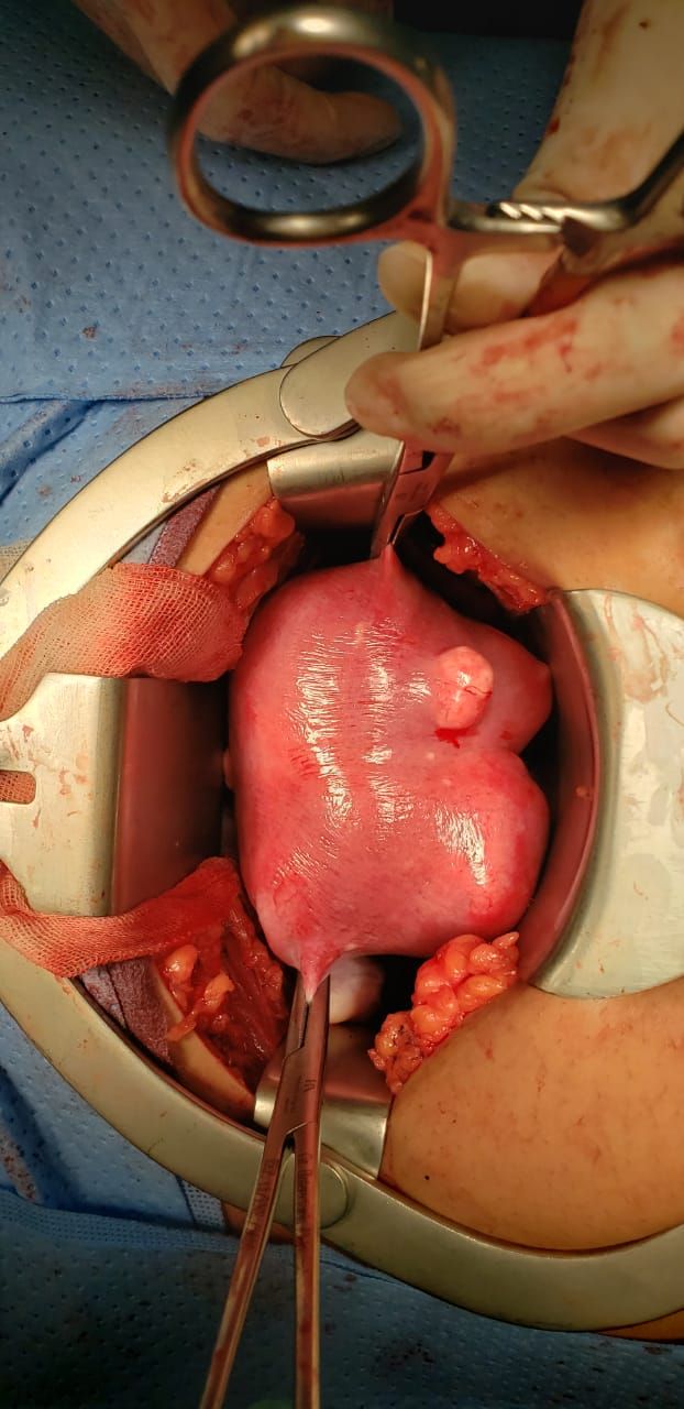 Nayeli Martínez Jaime-15