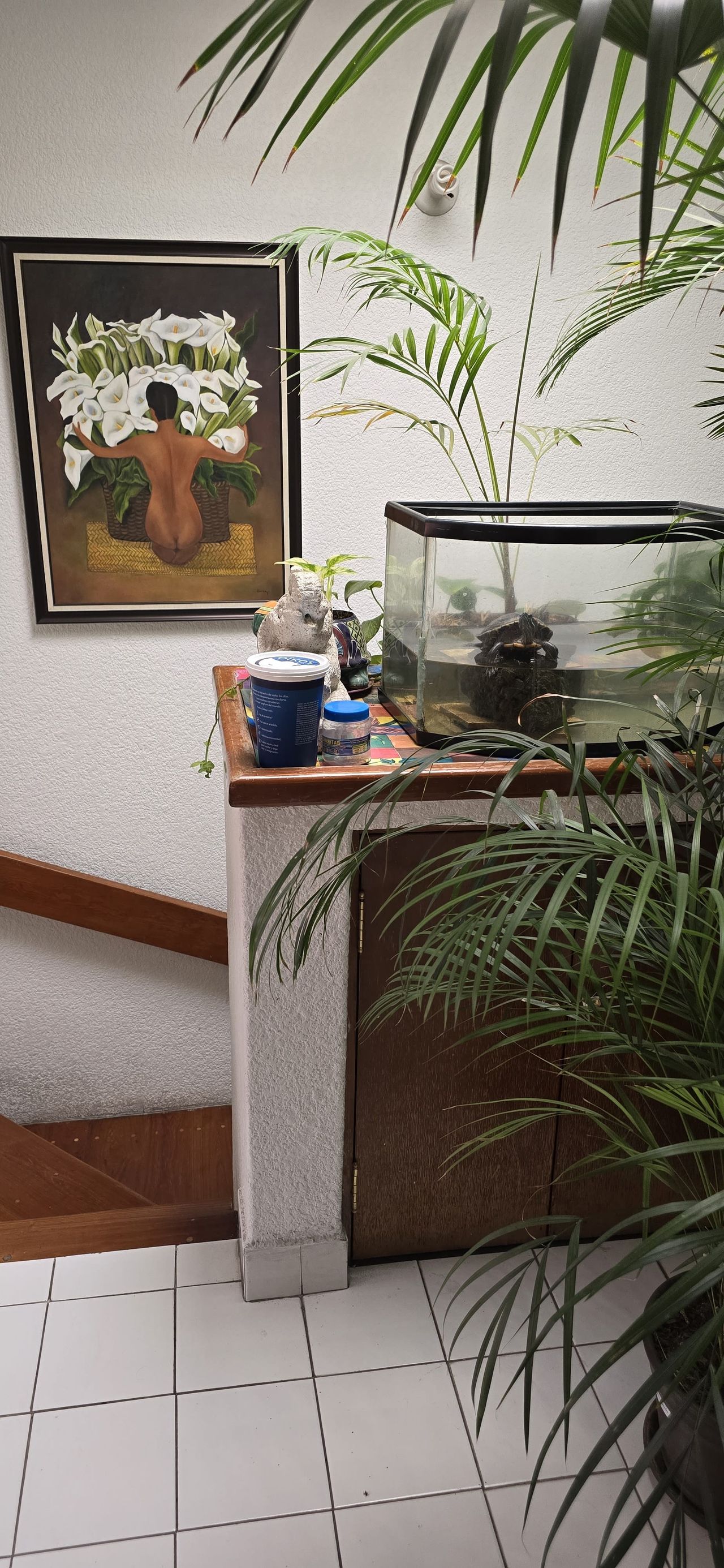 Atanasia Celestina Cruz Ramírez-5