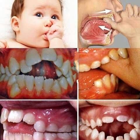 Pedro Badial Aceves-7