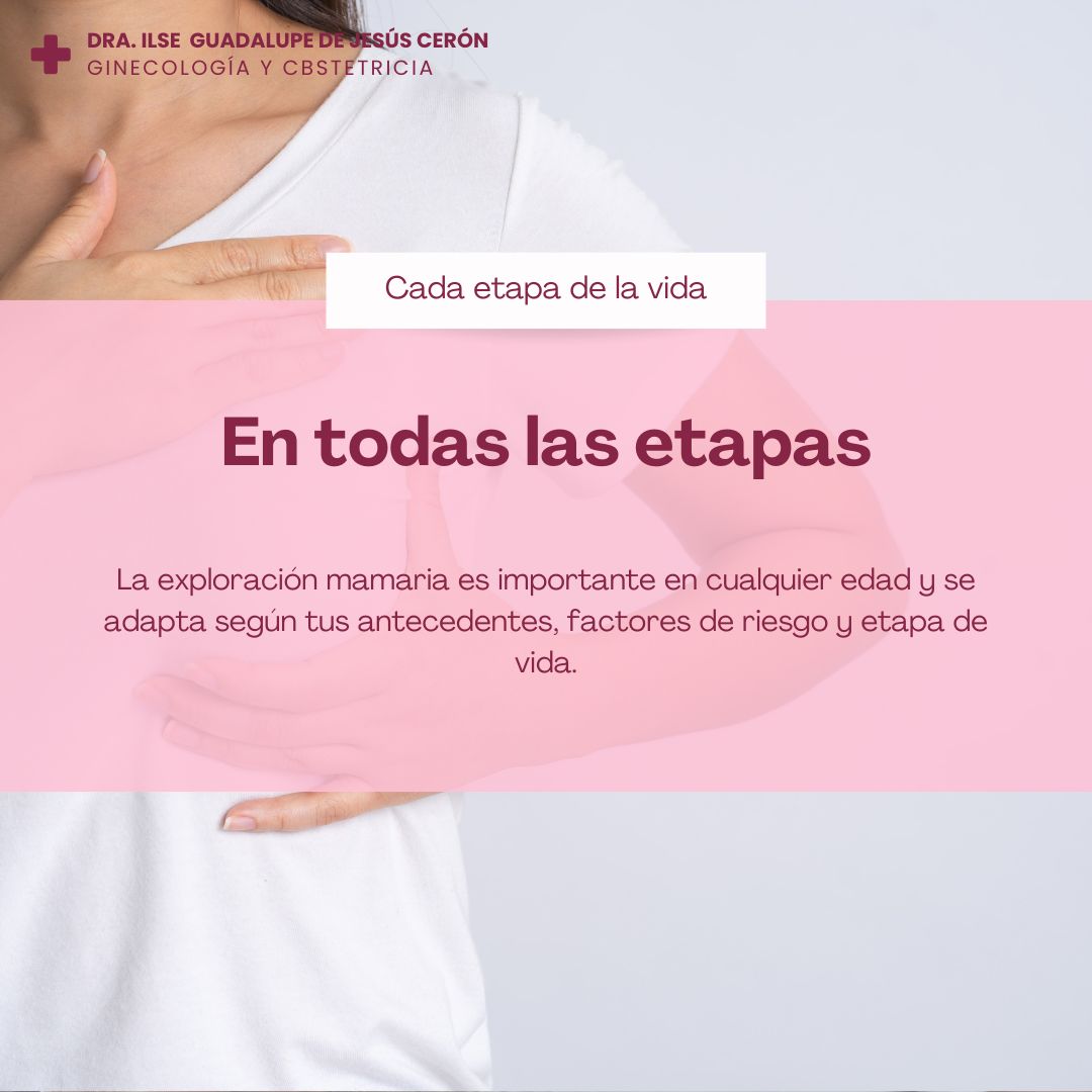 Ilse Guadalupe De Jesús Ceron-8