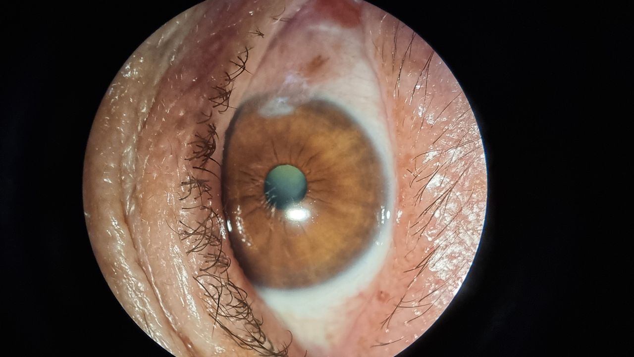 Iliana Peñaloza Román-5