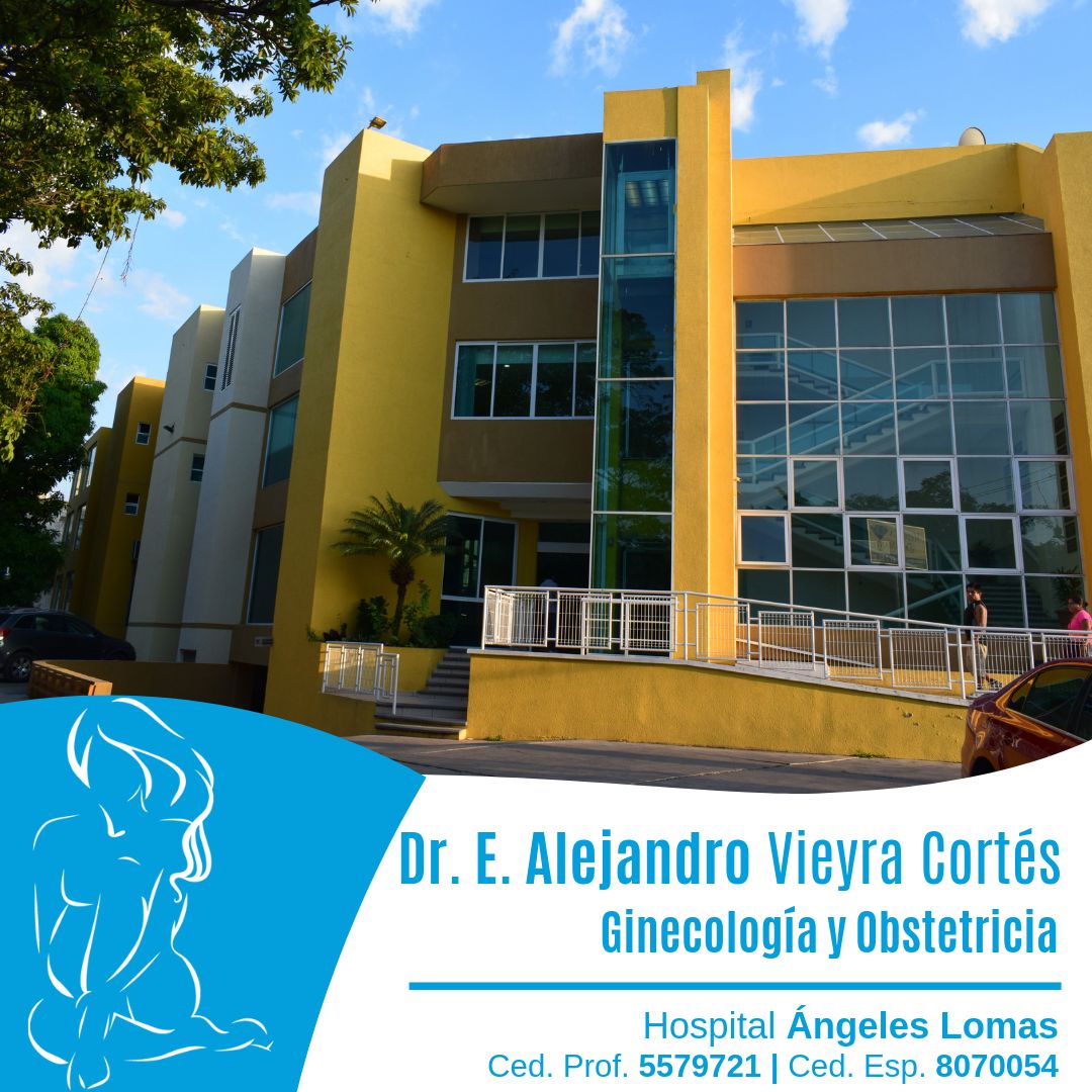 Edmundo Alejandro Vieyra Cortes-0