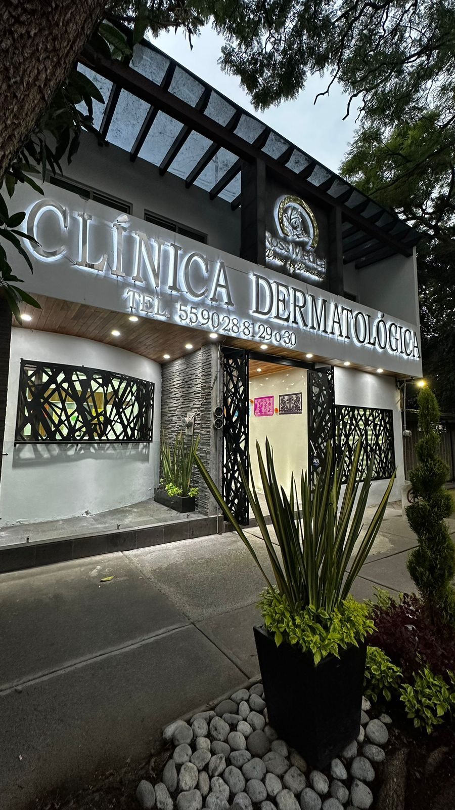 María Fernanda Linares Cervantes-4