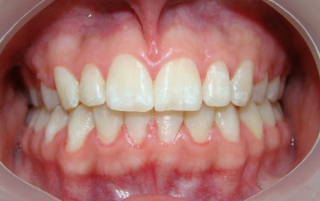 Rosa María Ojeda Guitrón-1