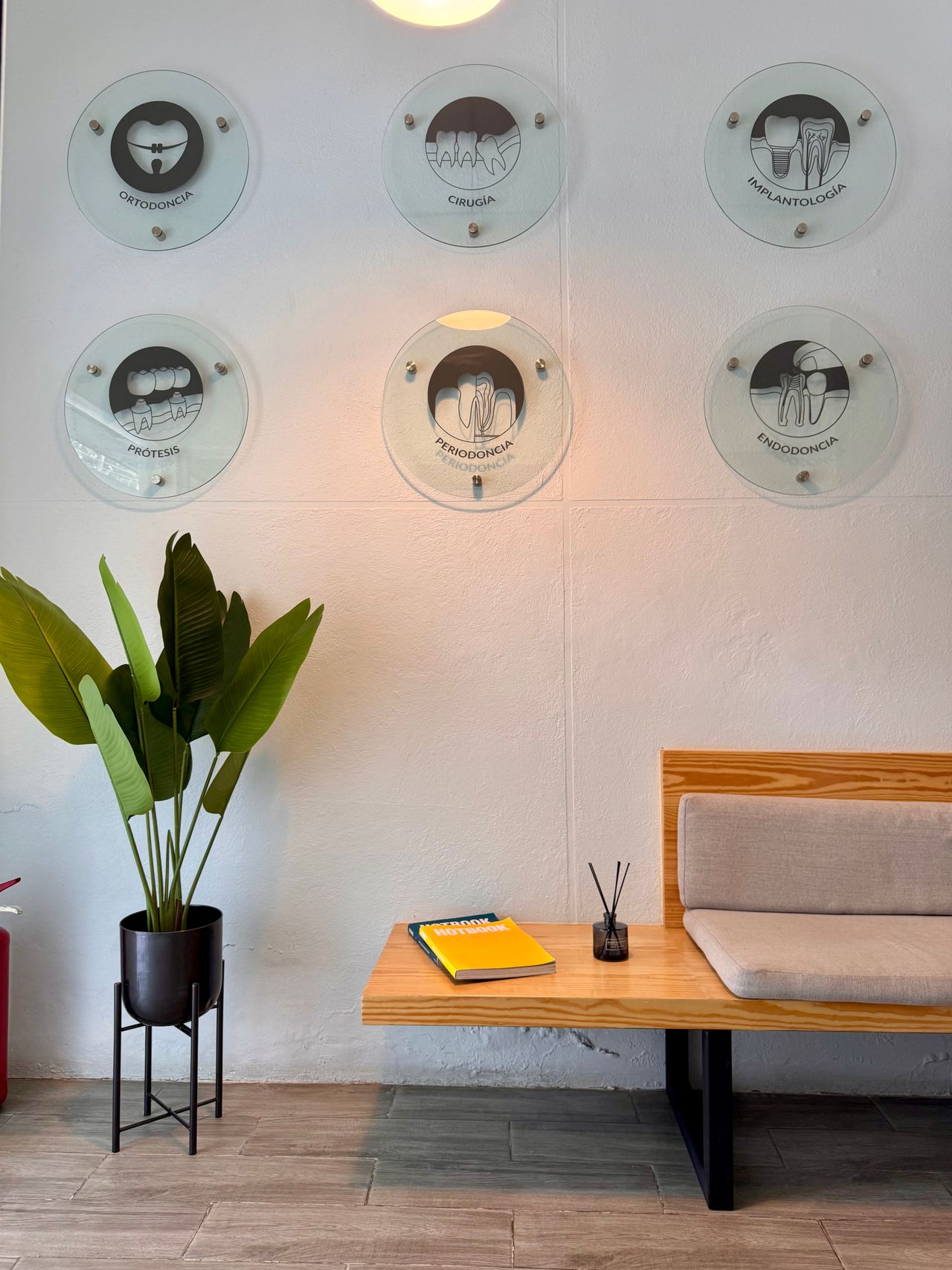 Carolina Cervantes Hong-1