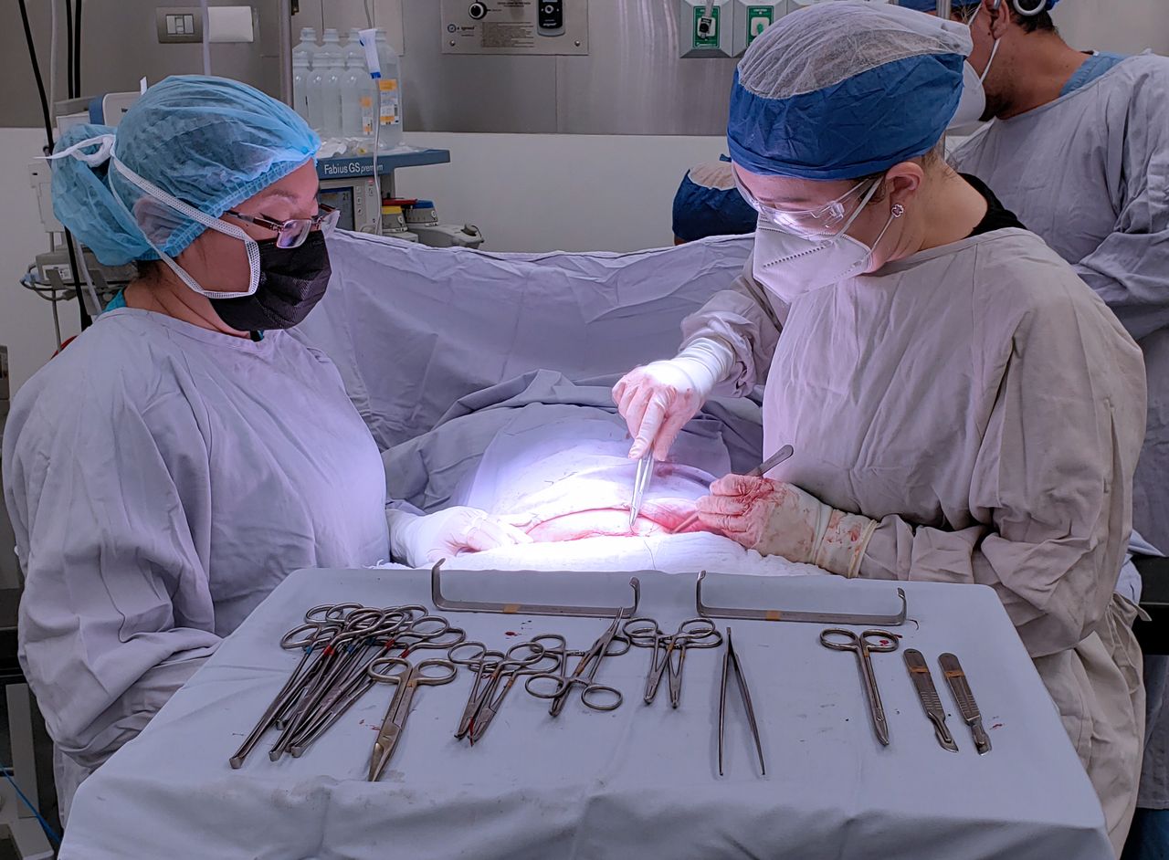 Citlali Quiroz Cruz-2